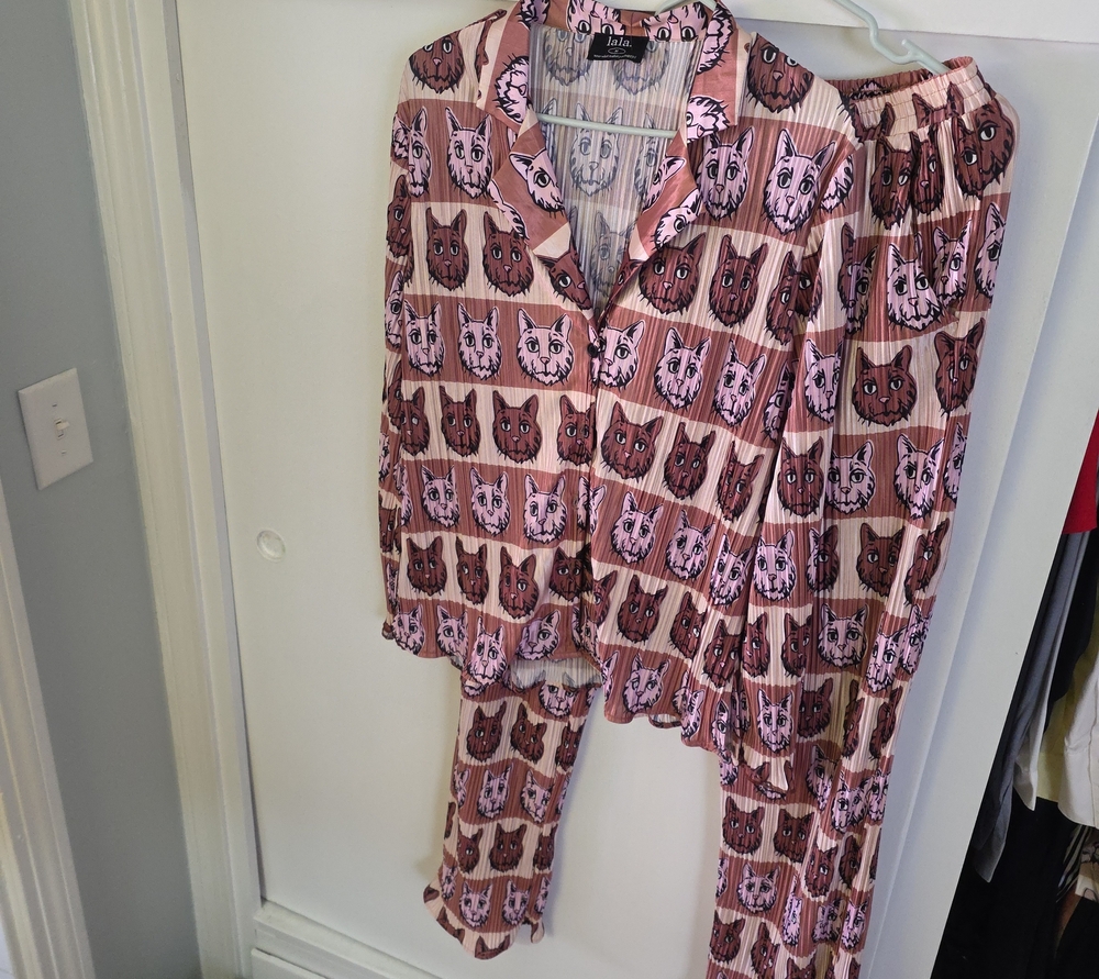 Dressed in LALA Pink and Brown Cat-Print Button Down Top and Pants
